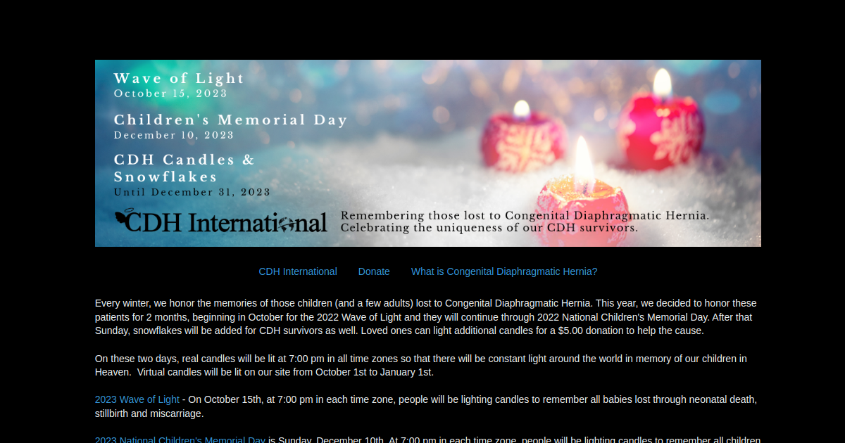 2023 CDH Angels and Snowflakes - CDH Research International